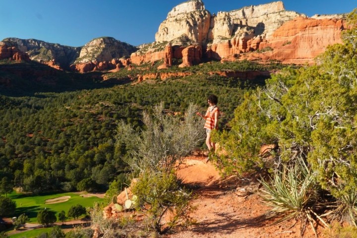 a person standing in front of a canyon